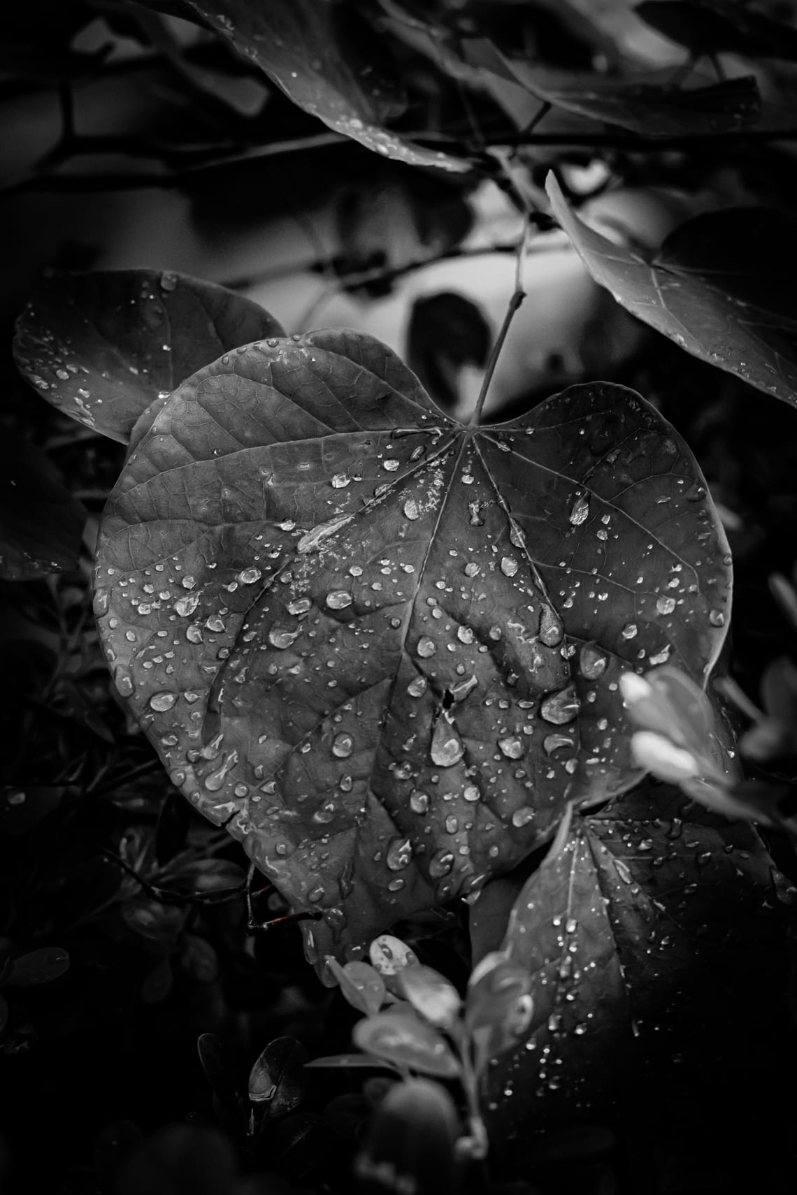 After the Storm